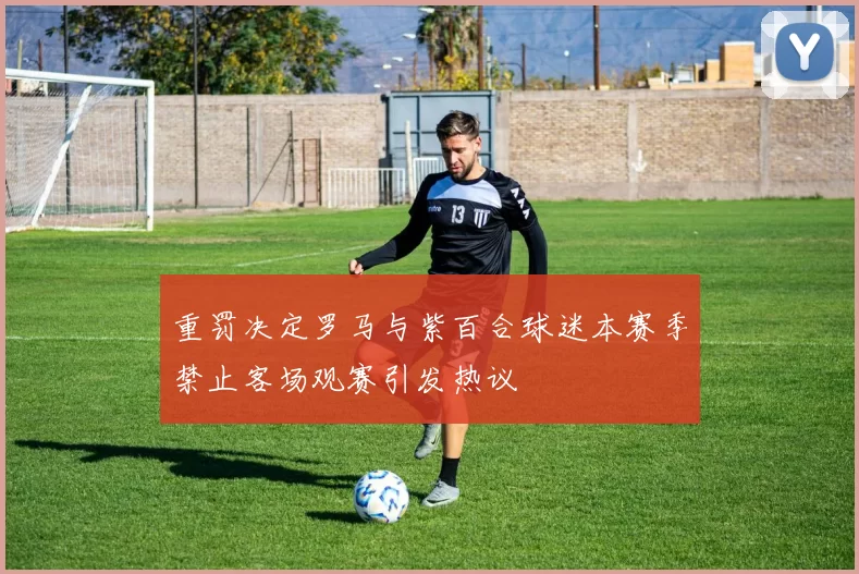 重罚决定罗马与紫百合球迷本赛季禁止客场观赛引发热议