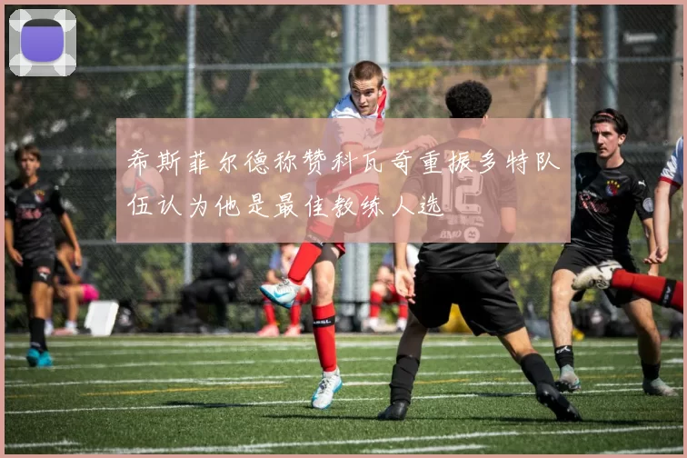希斯菲尔德称赞科瓦奇重振多特队伍认为他是最佳教练人选